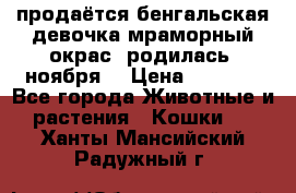 продаётся бенгальская девочка(мраморный окрас).родилась 5ноября, › Цена ­ 8 000 - Все города Животные и растения » Кошки   . Ханты-Мансийский,Радужный г.